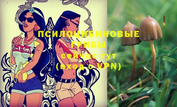 эйфоретик Володарск