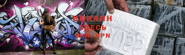 мдпв Новозыбков