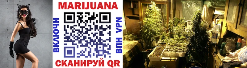 Марихуана LSD WEED  даркнет сайт  Карачаевск 